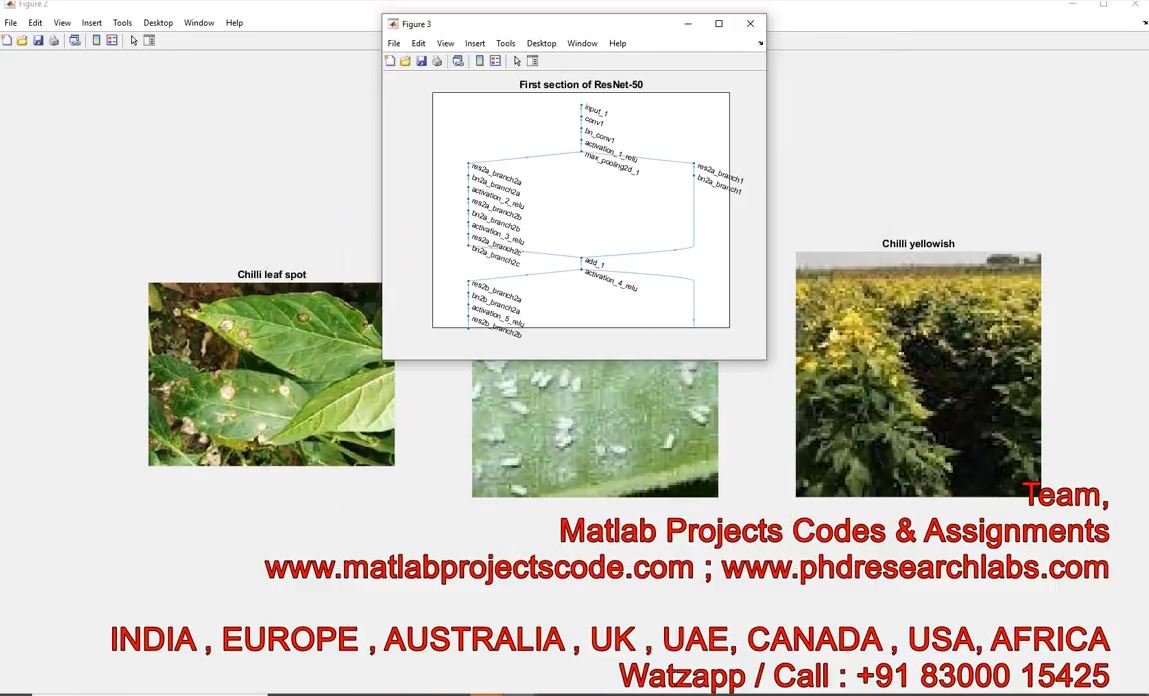 Chili Plant Leaf Disease Detection And Classification Using Image Processing Cnn Matlab Code __ Cnn project simulation thumbnail for Signal Processing and AI Engineering