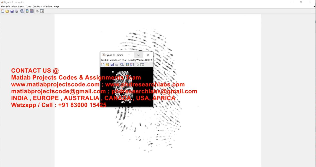 Fingerprint Reconstruction Matlab project simulation thumbnail for Signal Processing and AI Engineering