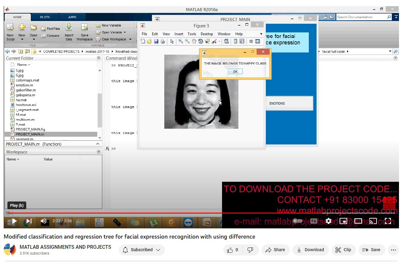 Modified Classification And Regression Tree For Facial Expression Recognition With Using Difference project simulation thumbnail for Signal Processing and AI Engineering