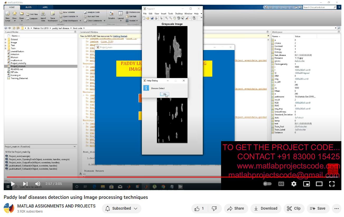 Paddy Leaf Diseases Detection Using Image Processing Techniques project simulation thumbnail for Signal Processing and AI Engineering